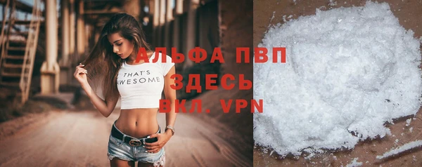ешки Богданович