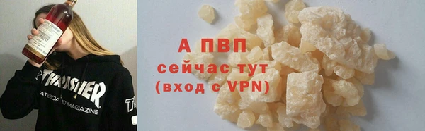 ешки Богданович