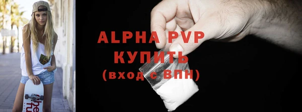 ешки Богданович