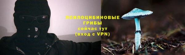 винт Богородицк