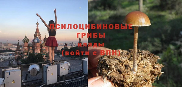 винт Богородицк