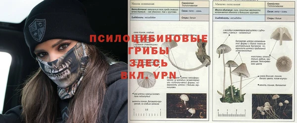 ешки Богданович